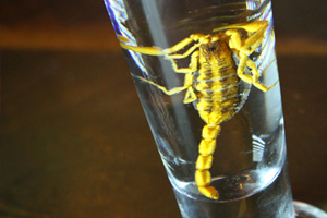 scorpion_shot